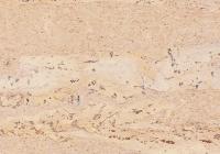 Пробковый пол Corkstyle Natural Cork Comprido Creme